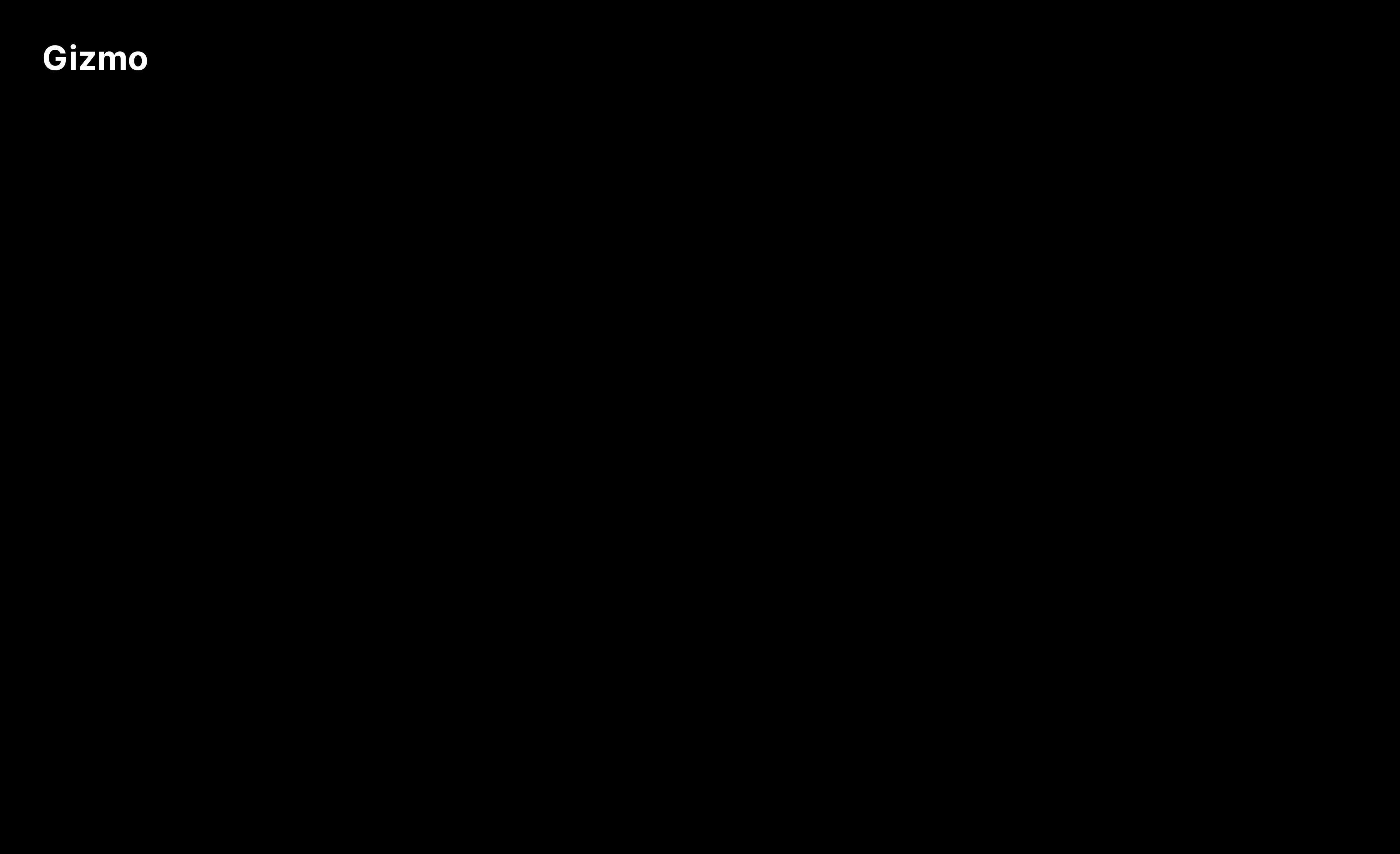 Gizmo section